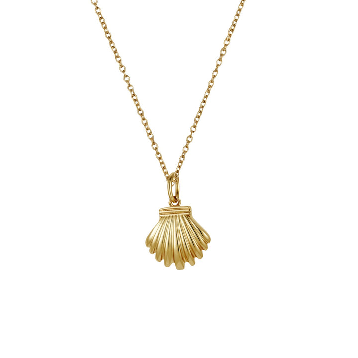 Sunrise Shell Necklace