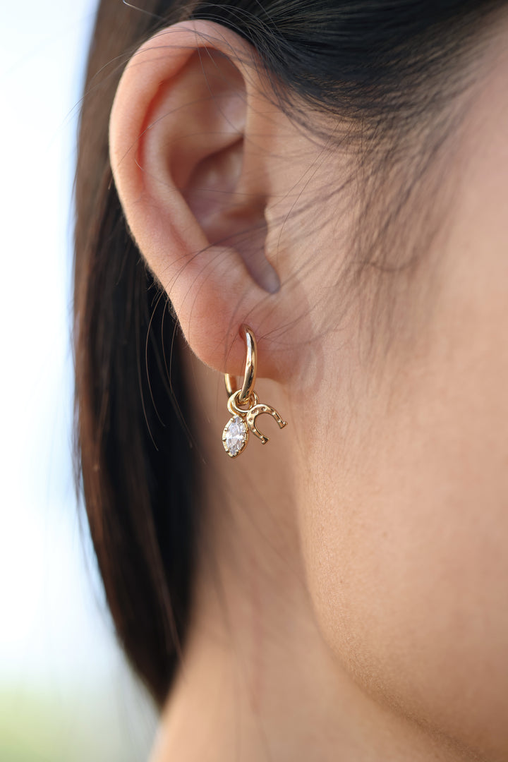 Chinese New Year 2026 Lucky Envelope