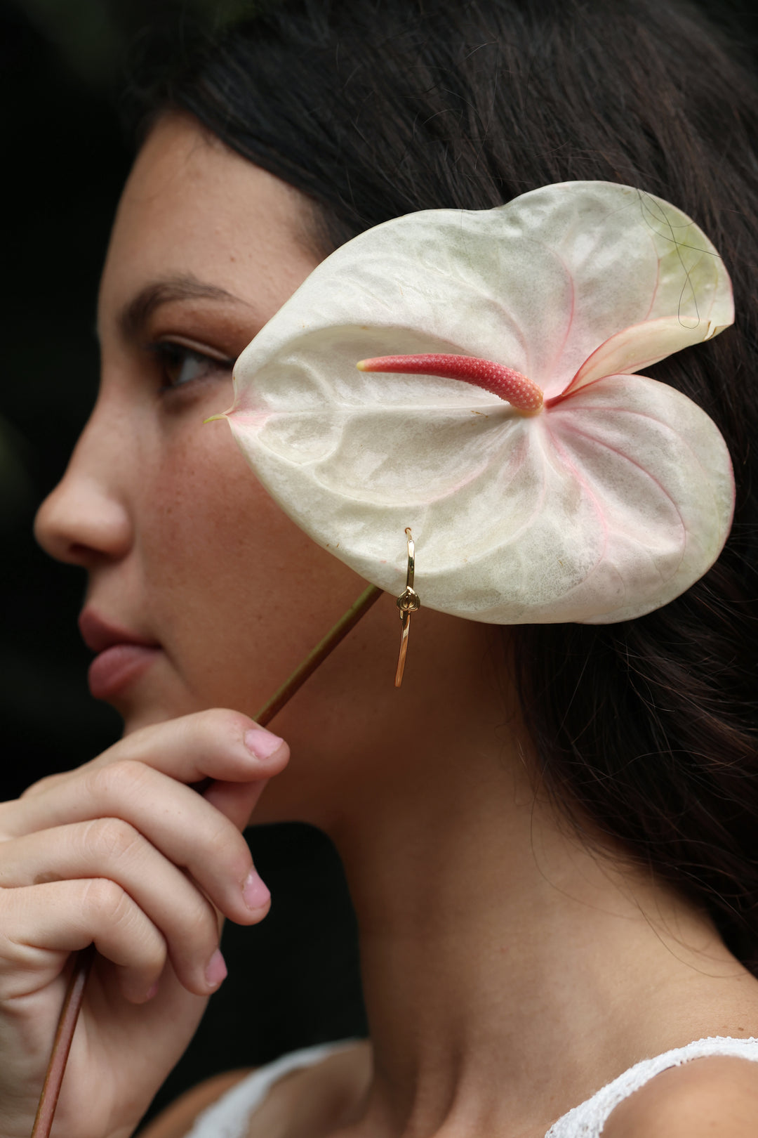 Anthurium Open Hoops