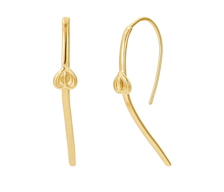 Anthurium Open Hoops