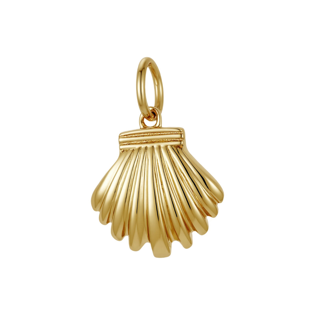 Sunrise Shell Necklace