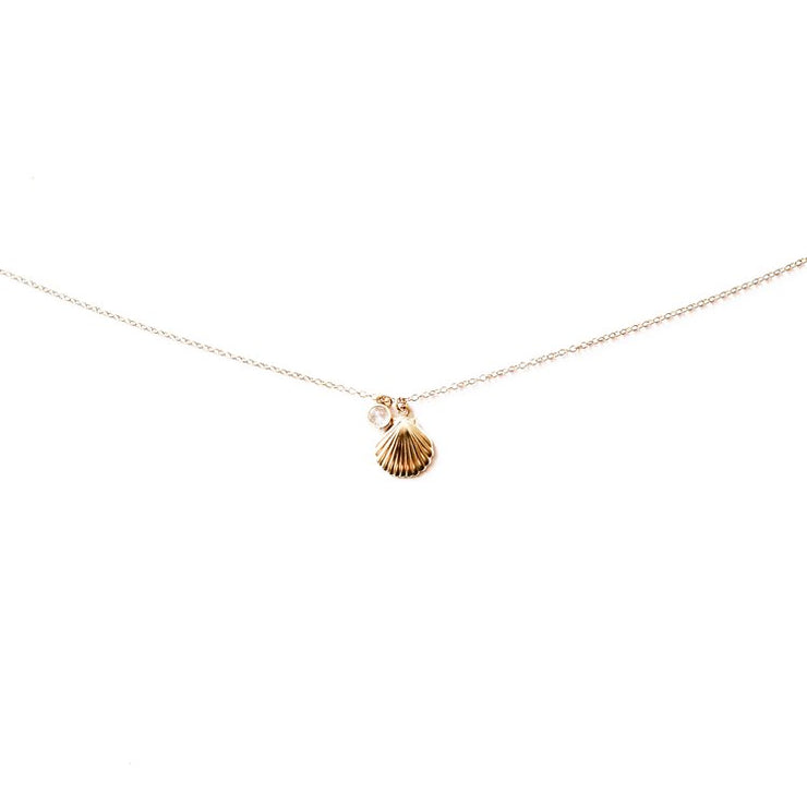 Seashell (Aloha Collection)